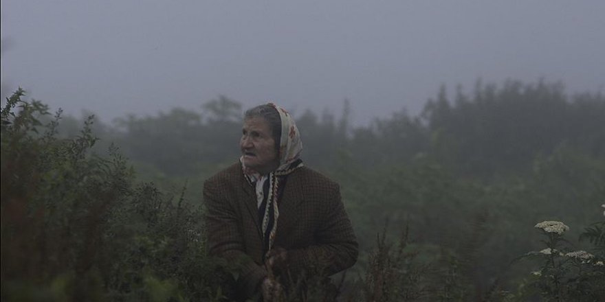 'Kalandar Soğuğu' Amerika yolcusu