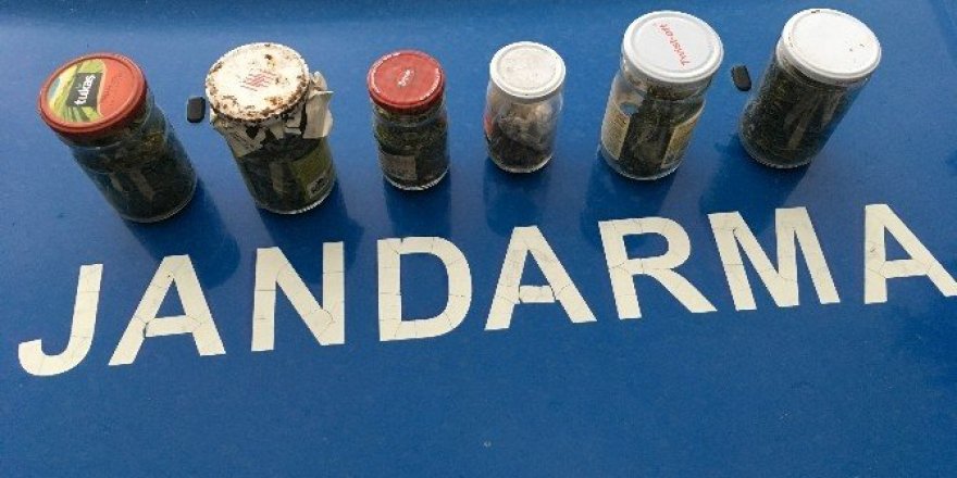 Narkotik köpeği “Engel” uyuşturucu tacirlerinin korkulu rüyası
