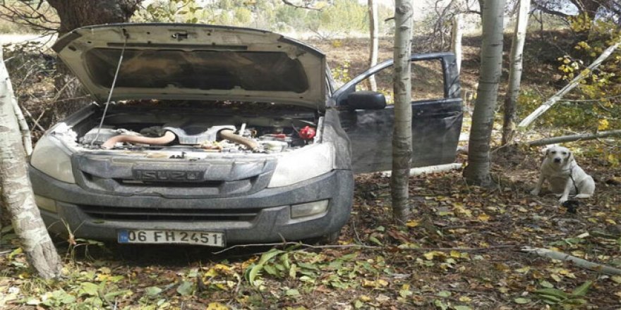 PKK'ya bir haftada büyük darbe!
