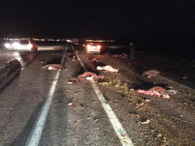 Doğubayazıt’ta 35 koyun telef oldu