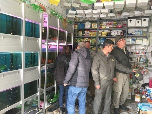 Pet shoplar denetlendi