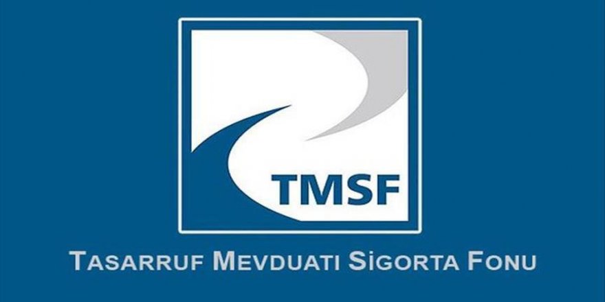 11 şirket TMSF'ye devredildi