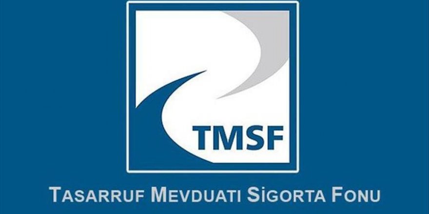 Düzce'de 17 şirket TMSF'ye devredildi