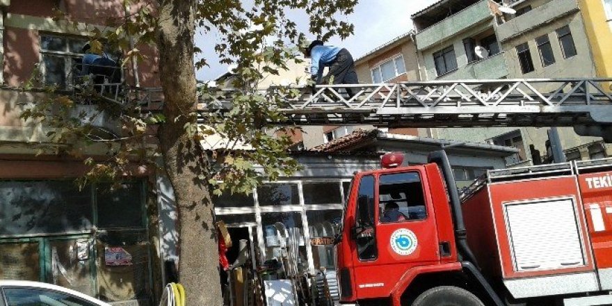 Balkonda mahsur kalan kedi itfaiye tarafından kurtarıldı