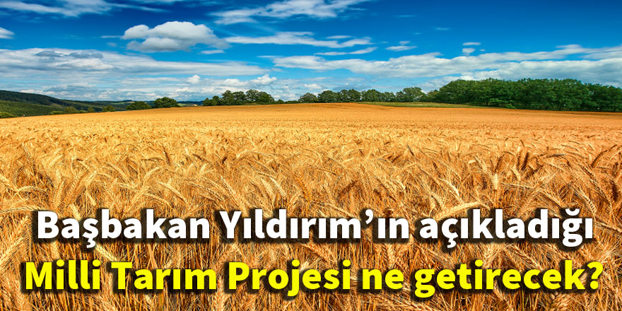Başbakan Yıldırım'ın açıkladığı Milli Tarım Projesi ne getirecek?