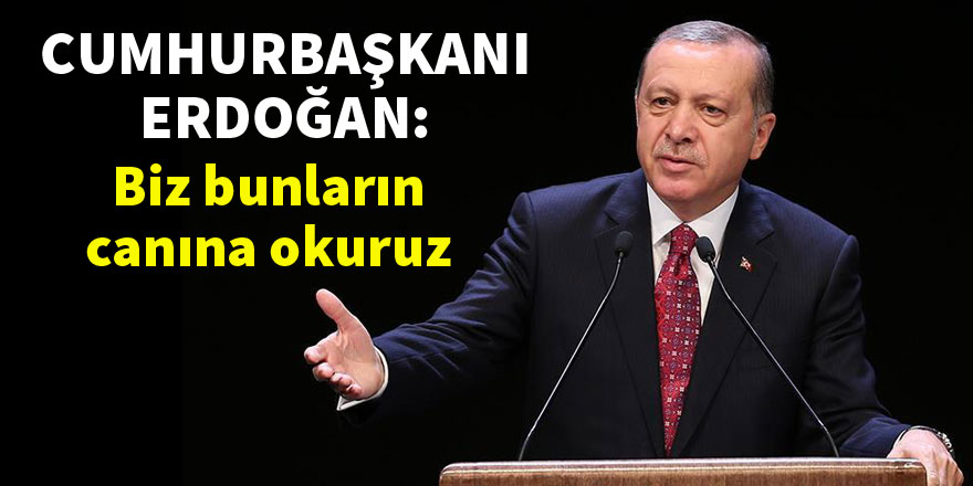 Cumhurbaşkanı Erdoğan: Biz bunların canına okuruz
