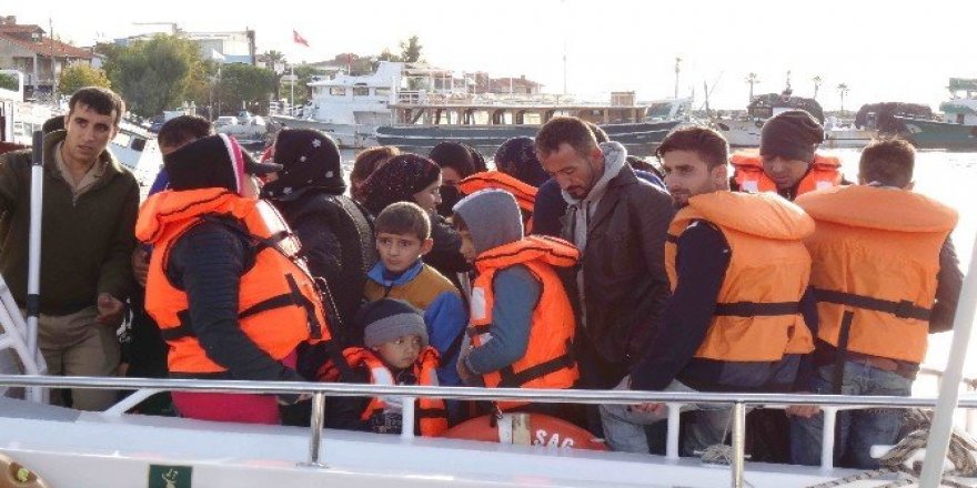 Ayvacık’ta 48 kaçak göçmen yakalandı