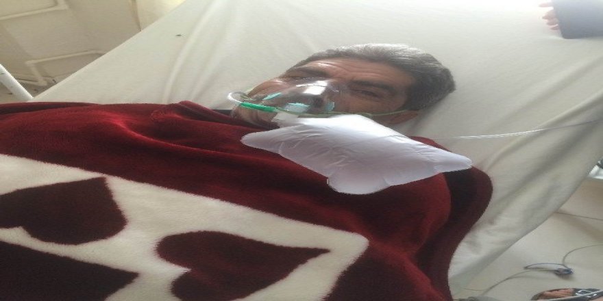 Arının soktuğu adam hastanelik oldu