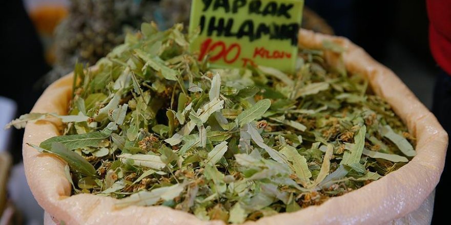Ihlamur fiyatları düştü