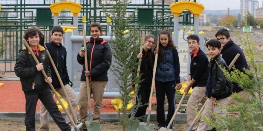 Melikgazi’de sonbahar ağaçlandırma çalışmaları başladı