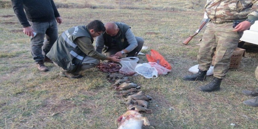 Erzincan’da avlanma limitini aşan avcılara ceza yağdı