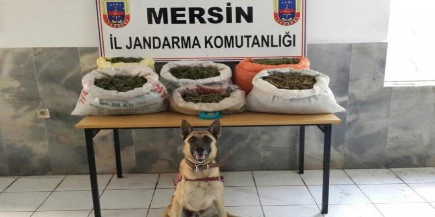 Mersin’de uyuşturucu operasyonu