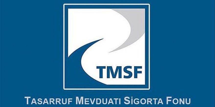 TMSF'nin yabancı bir şirkete el koyduğu iddiaları