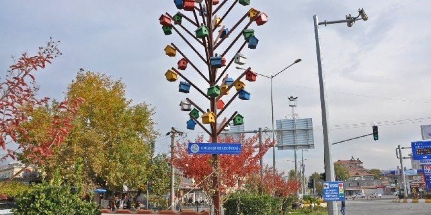 Belediyeden kuşlara yuva