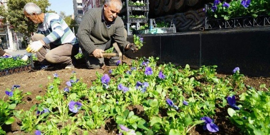 Kavşaklarda çiçeklendirme çalışması yapıldı