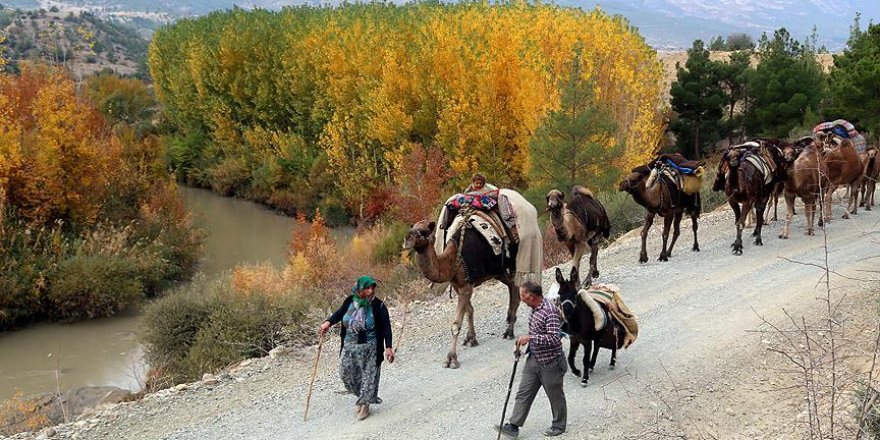 Yağışların azlığı Yörük göçünü etkiledi
