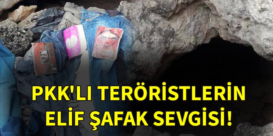 PKK'lı teröristlerin Elif Şafak sevgisi!