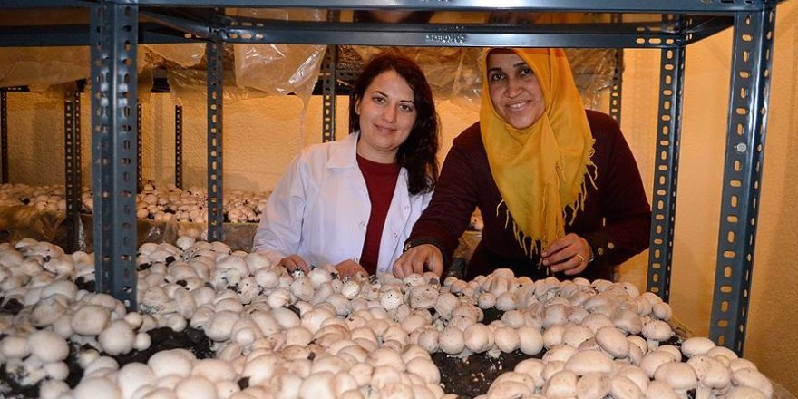 Ev hanımıydı 'patron' oldu
