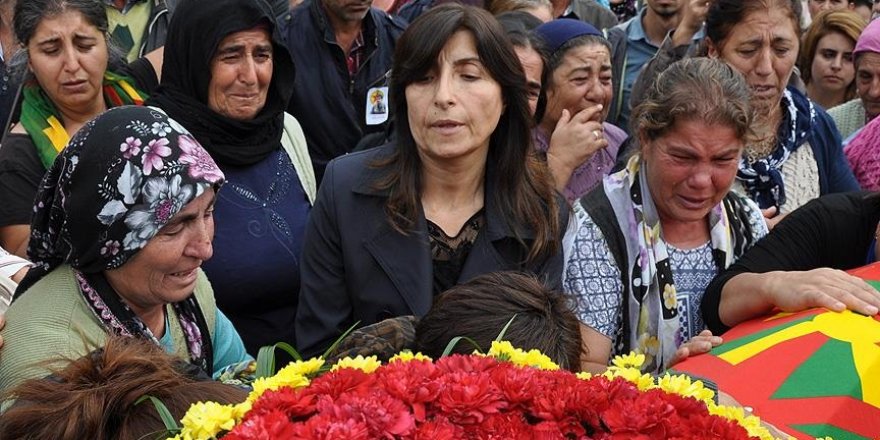 Eski HDP Tunceli Milletvekili Şahin gözaltına alındı