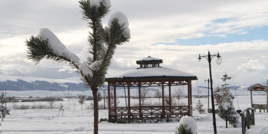Ardahan’da buz tuttu