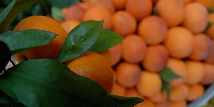 'C vitaminini tabletlerden değil, gıdalardan alın'