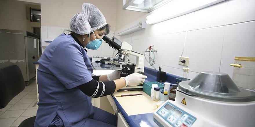 Zika virüsü için 'küresel acil durum' kaldırıldı
