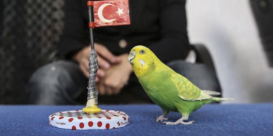 'Limon' yeteneğiyle görenleri şaşırtıyor