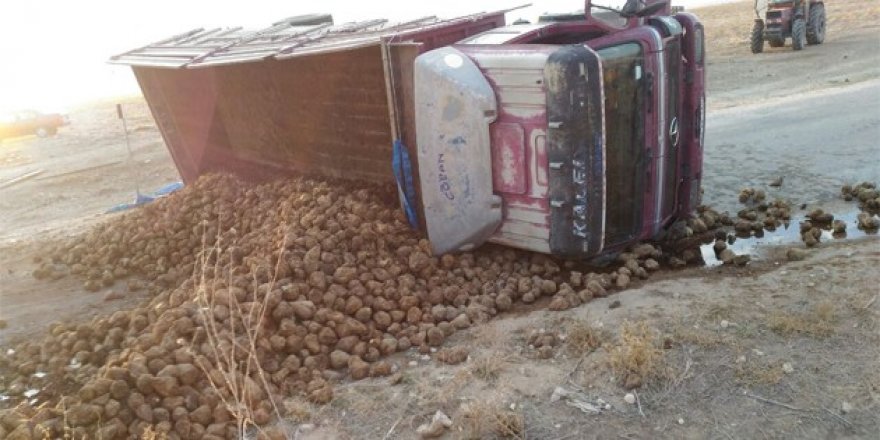 Yunak'ta pancar yüklü kamyon devrildi