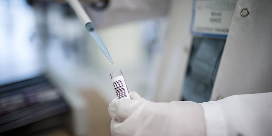 Alzaymırı tedavi eden molekül bulundu