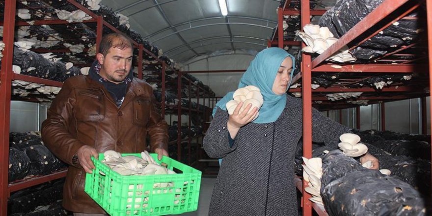 Genç çiftin hayali 'Genç Çiftçi Projesi' ile gerçekleşti