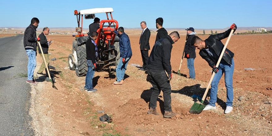 Nusaybin Belediyesi ağaçlandırma çalışması başlattı