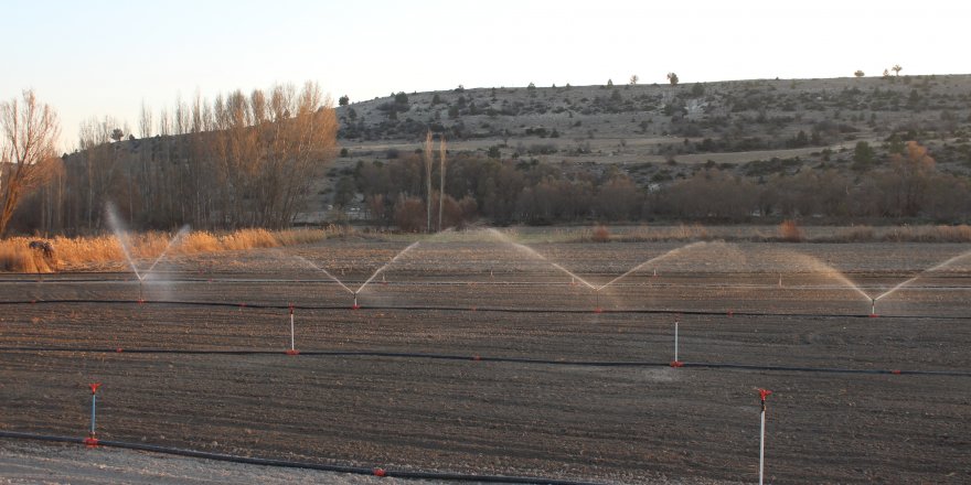 Hüyük'te çiftçinin kuraklık endişesi