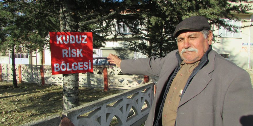 Afyonkarahisar'da kuduz karantinası