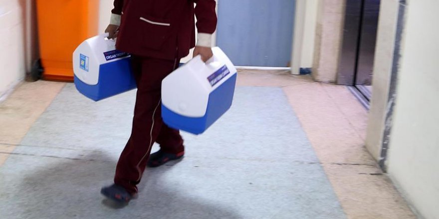 Sevdiklerimize 'canımız' feda