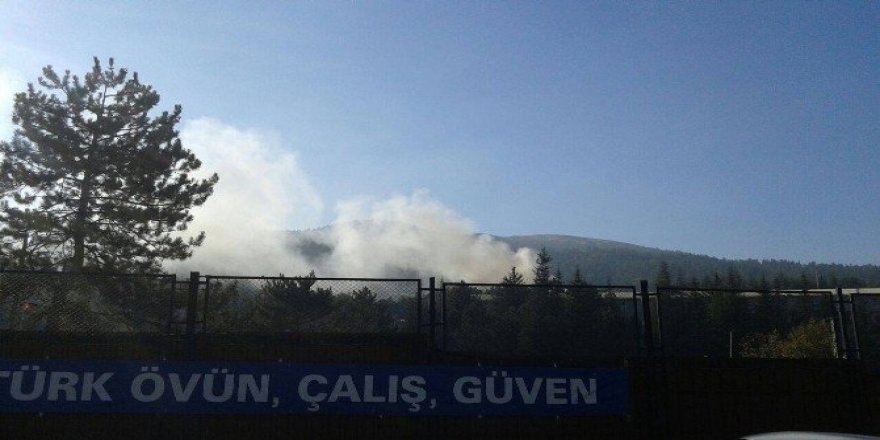 Tokat’ta yangın
