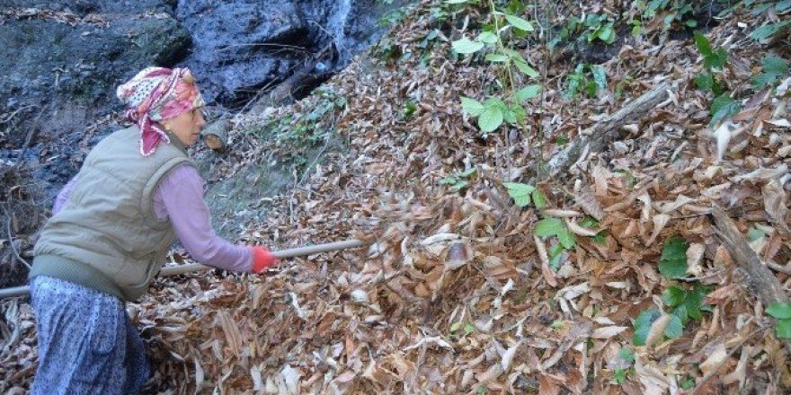 Karadeniz kadını zor yükün altına giriyor