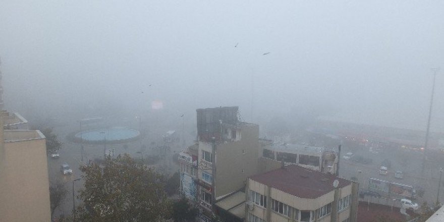 Bandırma’da yoğun sis