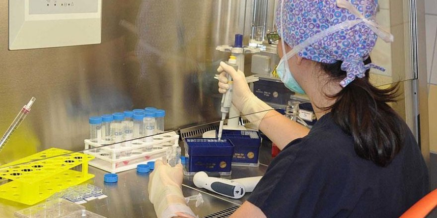 Üniversitelerden bilimsel projelere destek