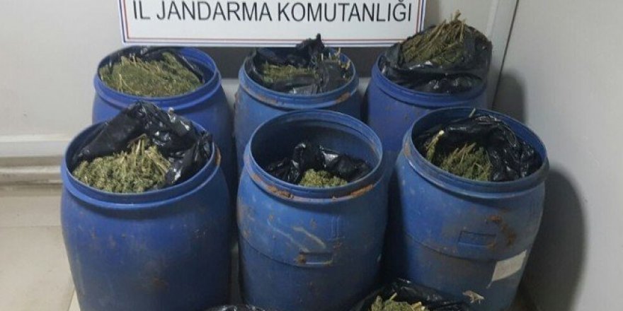 Mardin’de esrar operasyonu: 2 gözaltı