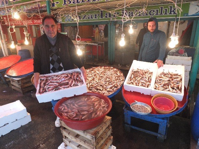 Bandırmalı balıkçıların barbun sevinci