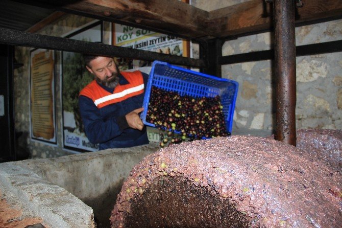 200 yıllık taş baskıda zeytin sütü üretiyor