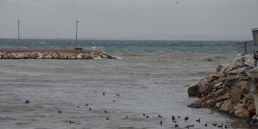 Deniz kahverengiye boyandı