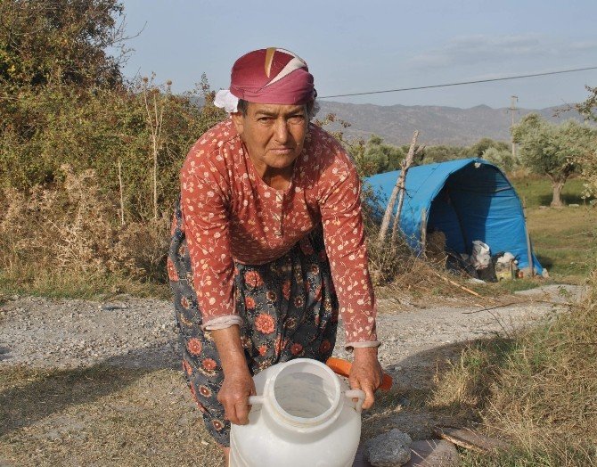 Bu sütü sütçüden başkası almıyor