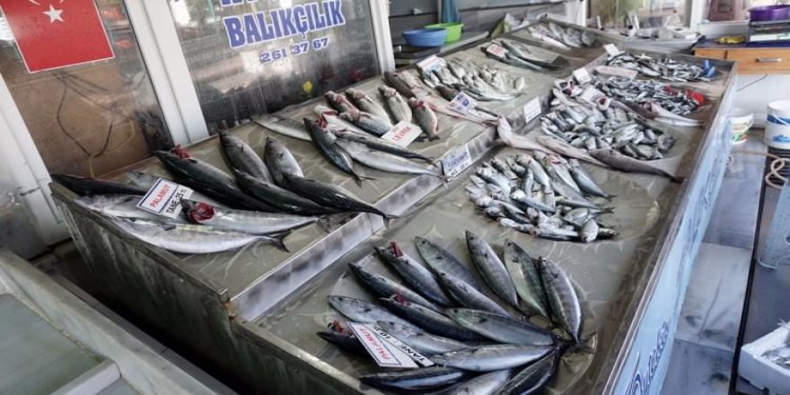 Büyük zam! Fiyatlar yüzde 300 arttı