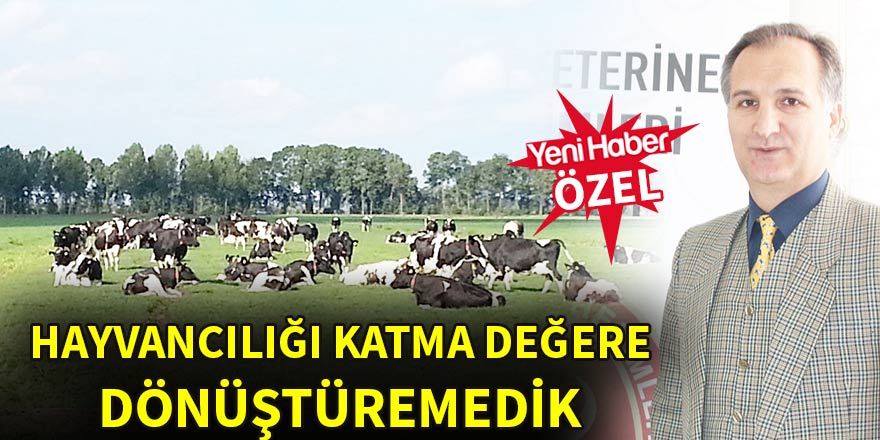 Hayvancılığı katma değere dönüştüremedik
