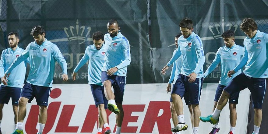Türkiye-Finlandiya maçının oynanacağı stat açıklandı