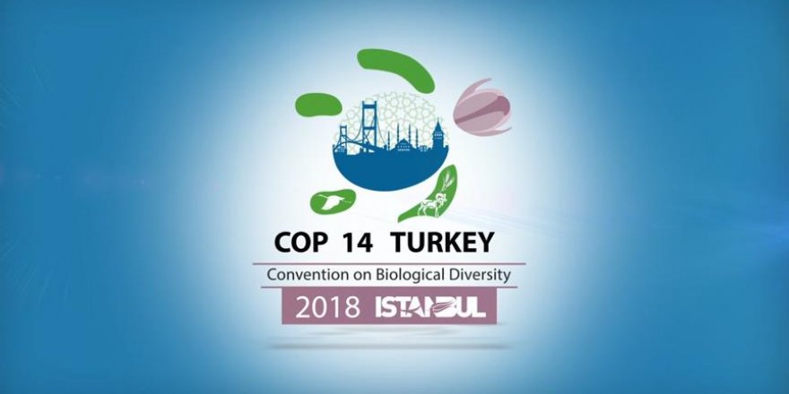 Türkiye, COP14'e aday