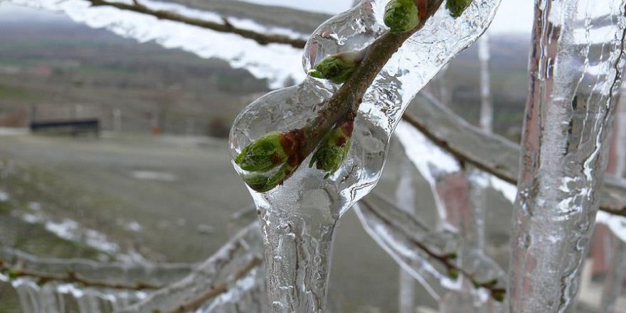 Meteorolojiden 5 il için don uyarısı