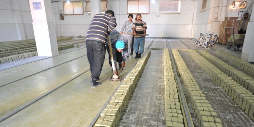 Ağaçtan sabuna zeytinin hikayesi