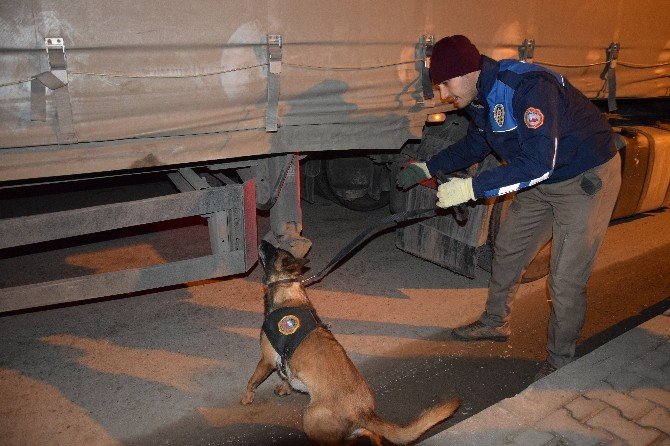 Giresun’da 600 polis ile ‘Huzur’ uygulaması